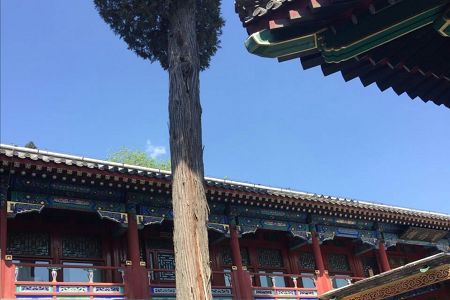 10万一汽吉林SUV怎么样?见旗下3款SUV对比